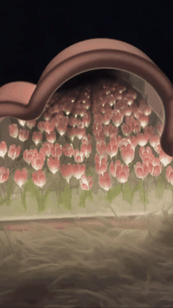 Lampara Tulipanes Infinitos- Ilumina el Corazón de Mamá